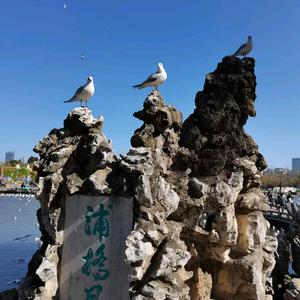 路口斑马线上没人也要礼让？车主拒交罚款起诉交管，庭审结果很多人没料到